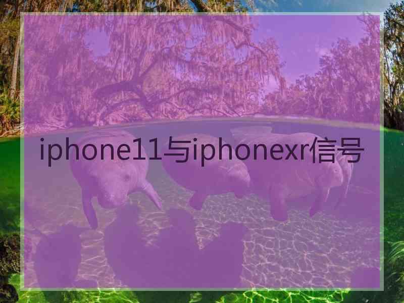 iphone11与iphonexr信号