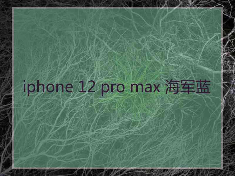 iphone 12 pro max 海军蓝