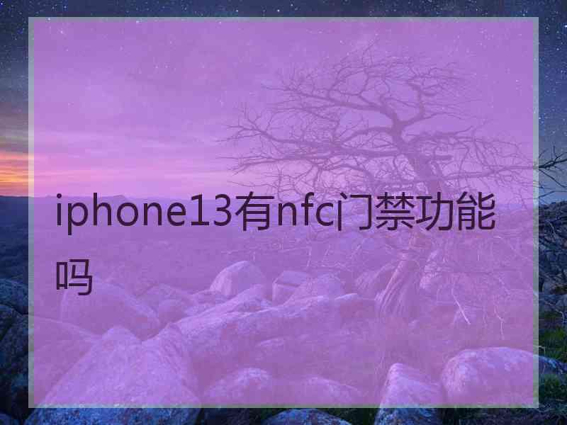 iphone13有nfc门禁功能吗