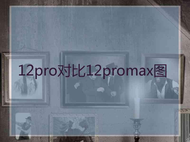 12pro对比12promax图