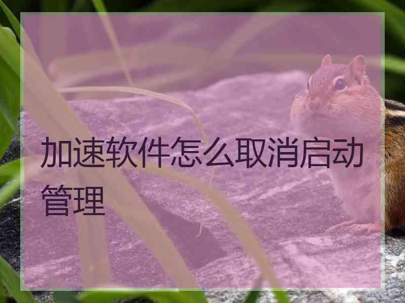 加速软件怎么取消启动管理