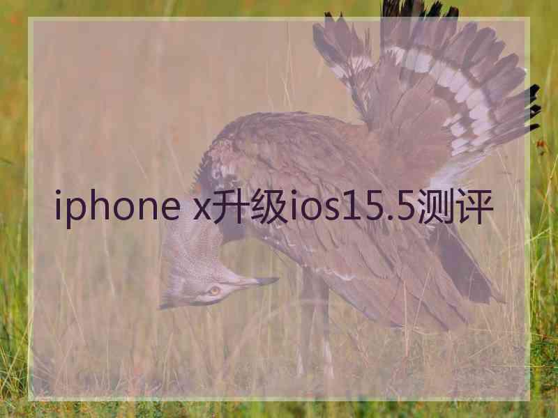 iphone x升级ios15.5测评