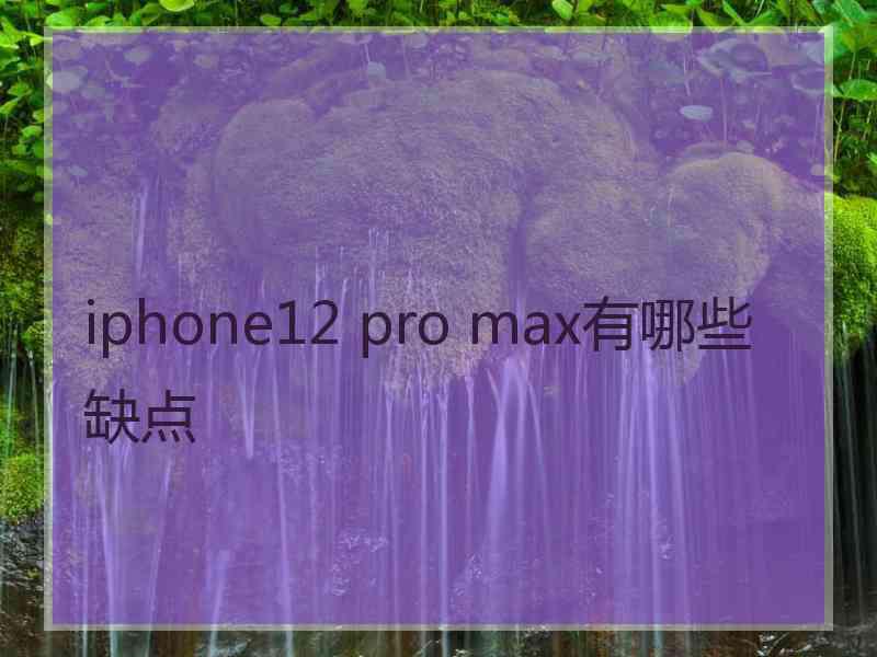 iphone12 pro max有哪些缺点