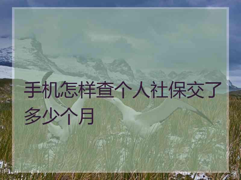 手机怎样查个人社保交了多少个月