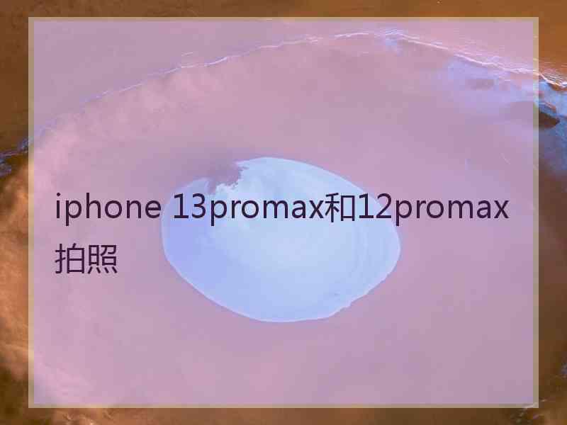 iphone 13promax和12promax拍照