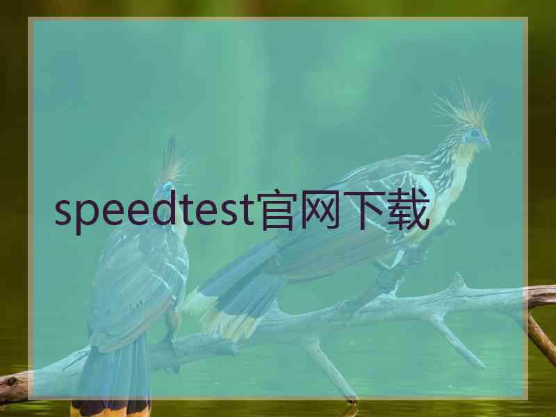 speedtest官网下载