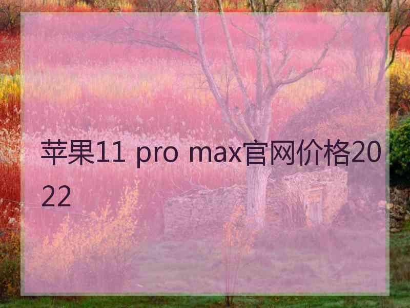 苹果11 pro max官网价格2022