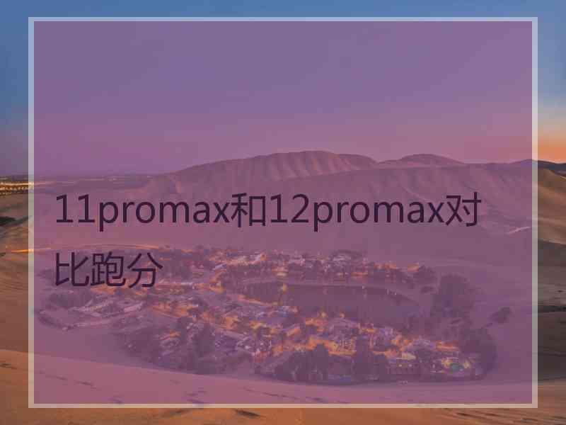 11promax和12promax对比跑分