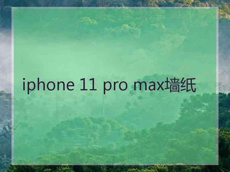 iphone 11 pro max墙纸