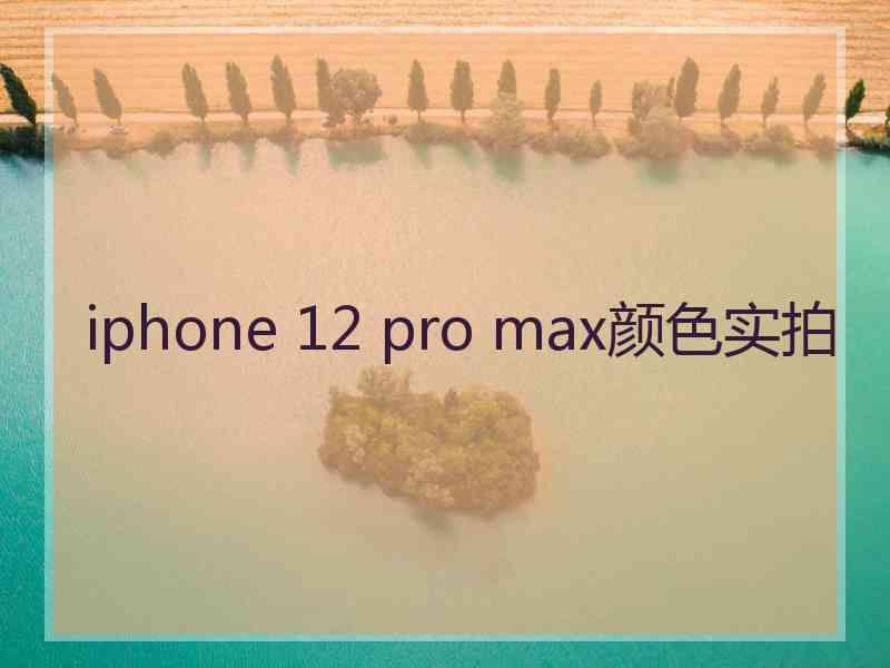 iphone 12 pro max颜色实拍