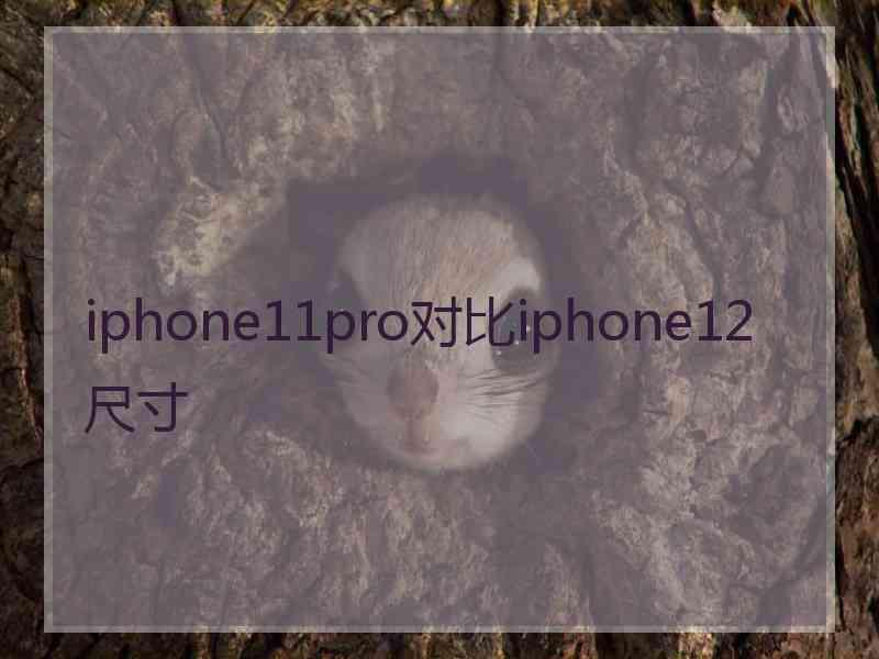 iphone11pro对比iphone12 尺寸