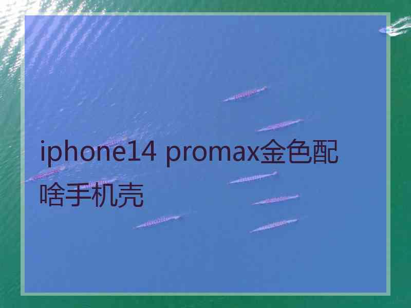 iphone14 promax金色配啥手机壳