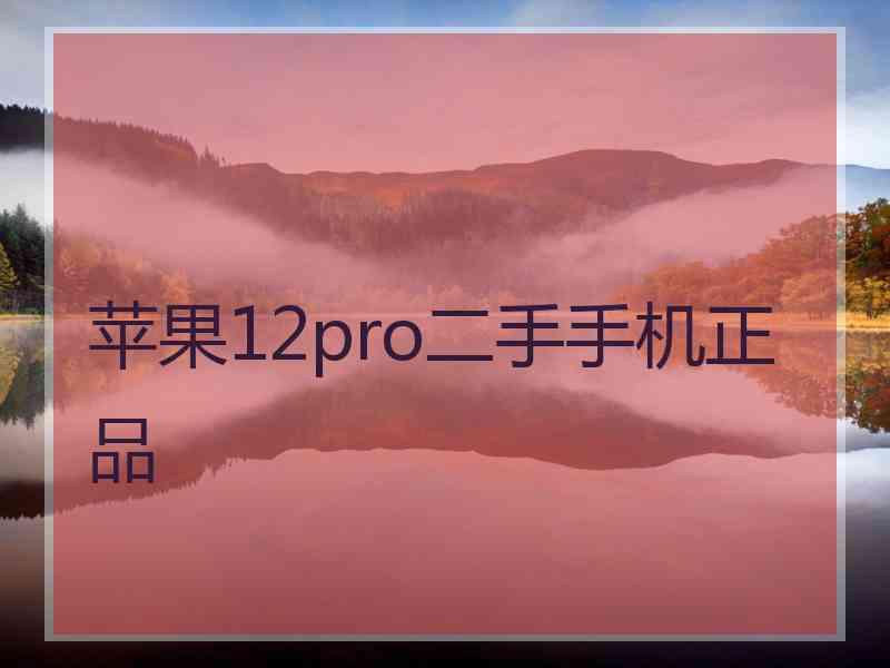 苹果12pro二手手机正品