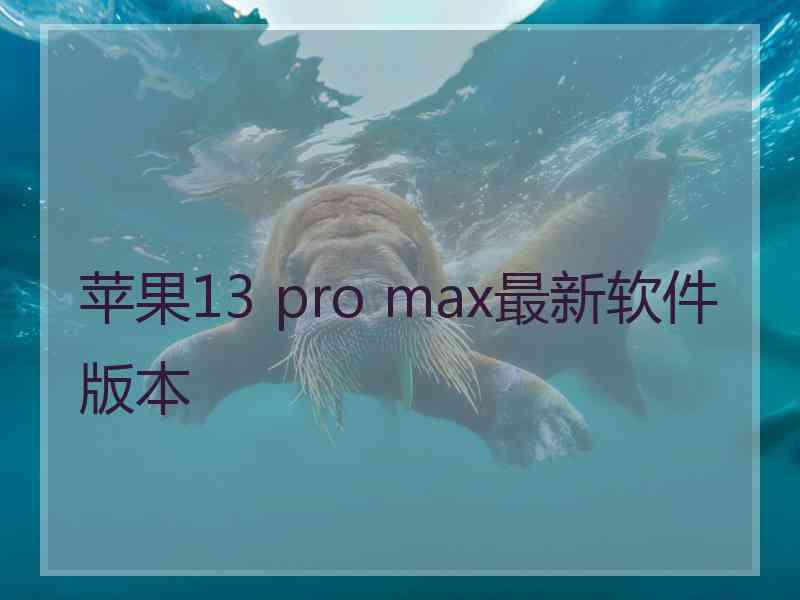 苹果13 pro max最新软件版本