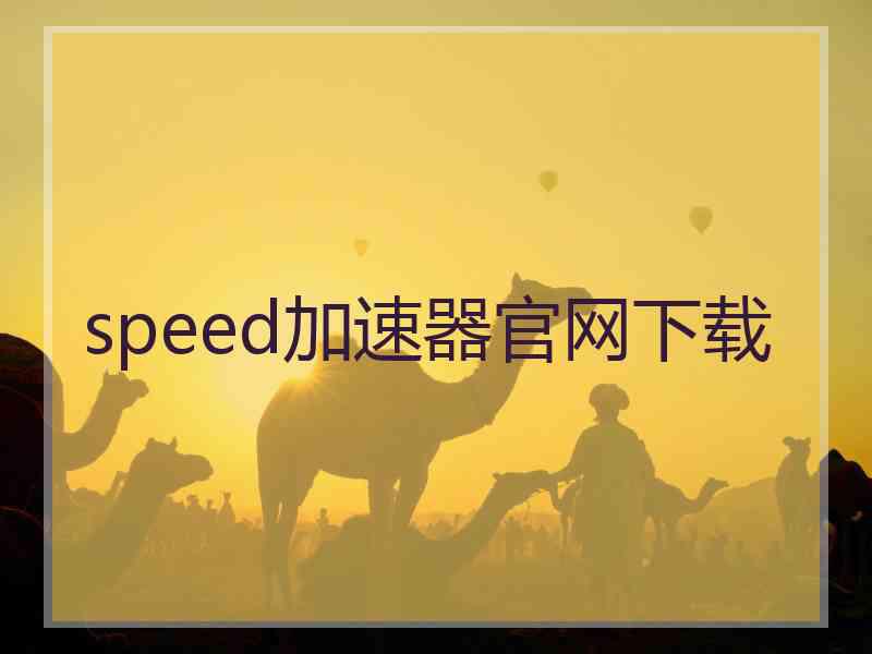 speed加速器官网下载