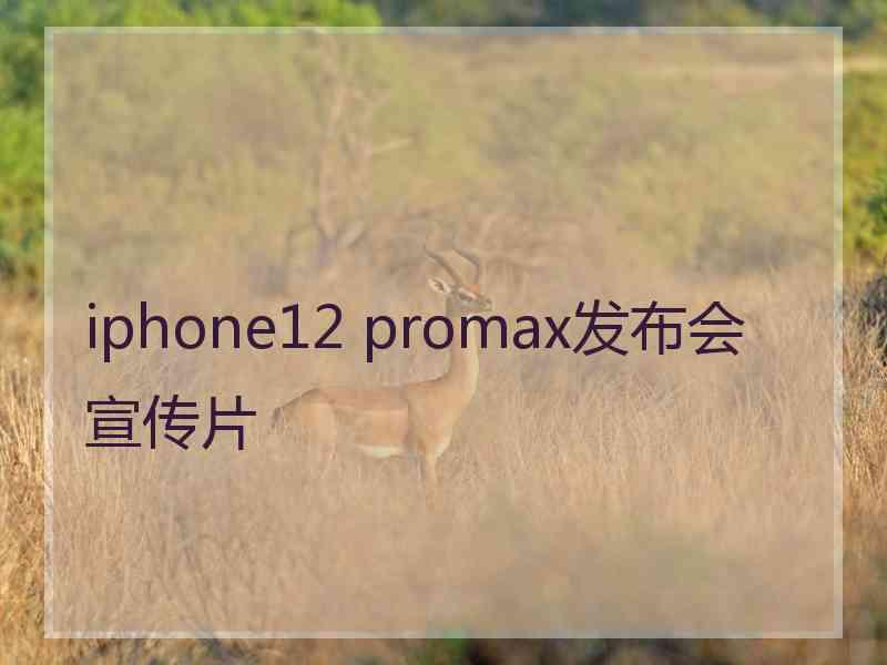 iphone12 promax发布会宣传片