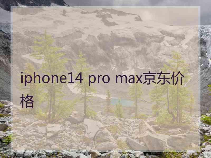 iphone14 pro max京东价格