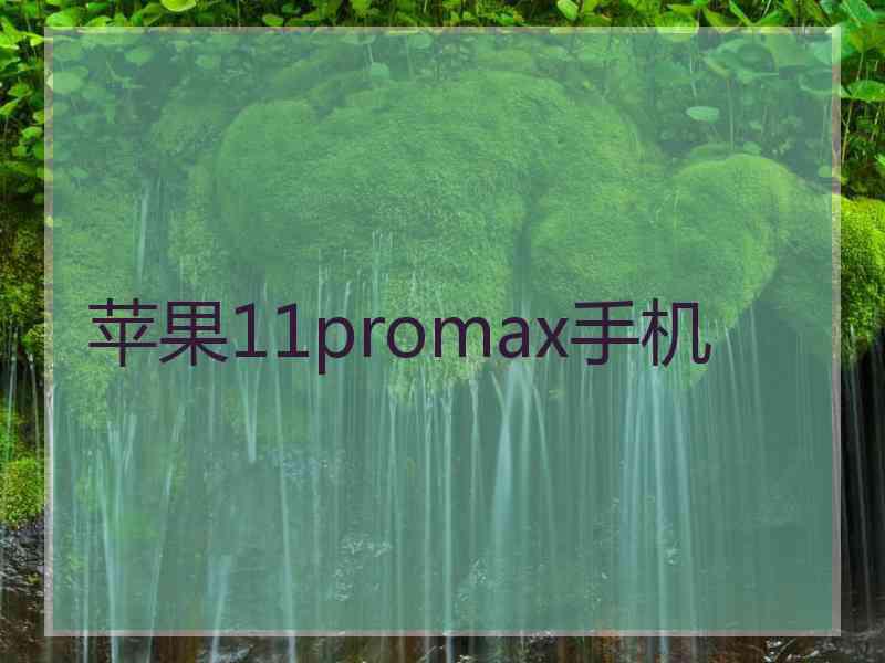 苹果11promax手机