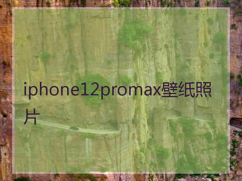 iphone12promax壁纸照片