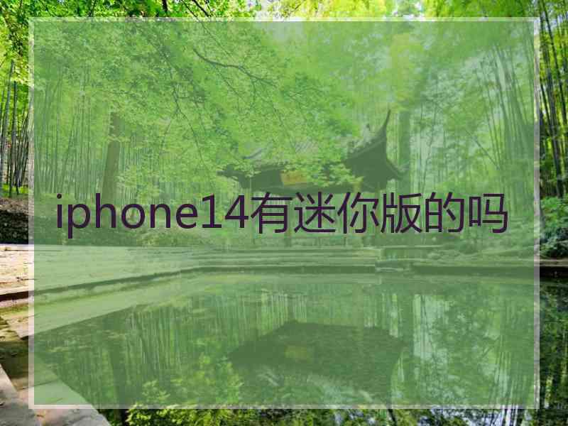 iphone14有迷你版的吗