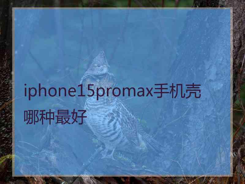 iphone15promax手机壳哪种最好