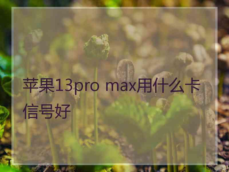 苹果13pro max用什么卡信号好