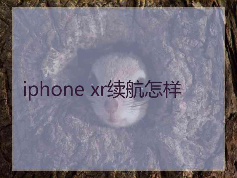 iphone xr续航怎样