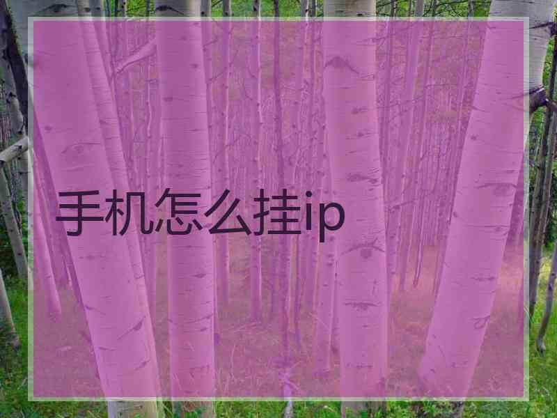 手机怎么挂ip