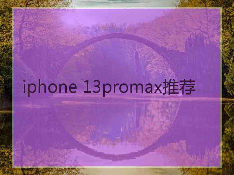 iphone 13promax推荐