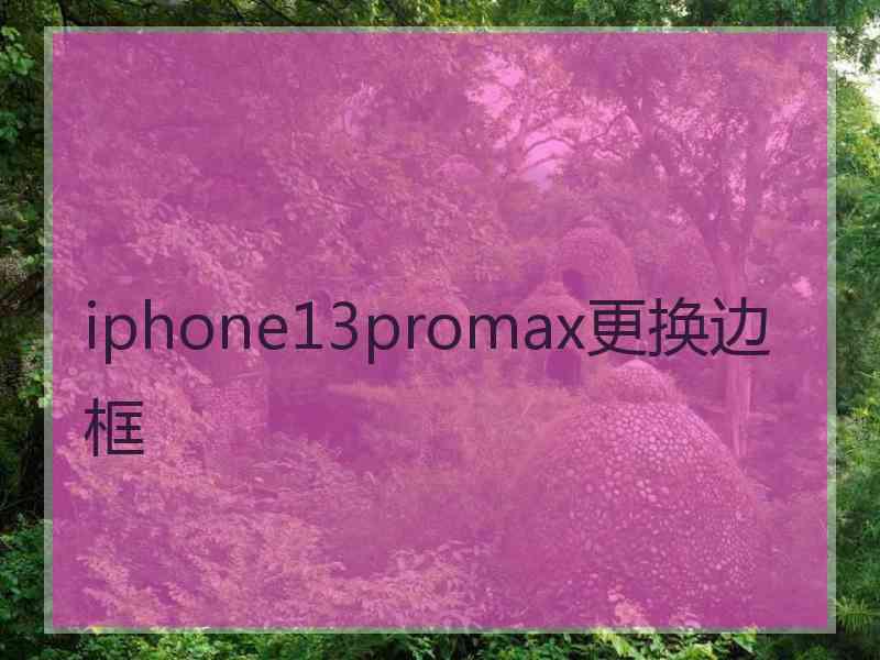 iphone13promax更换边框