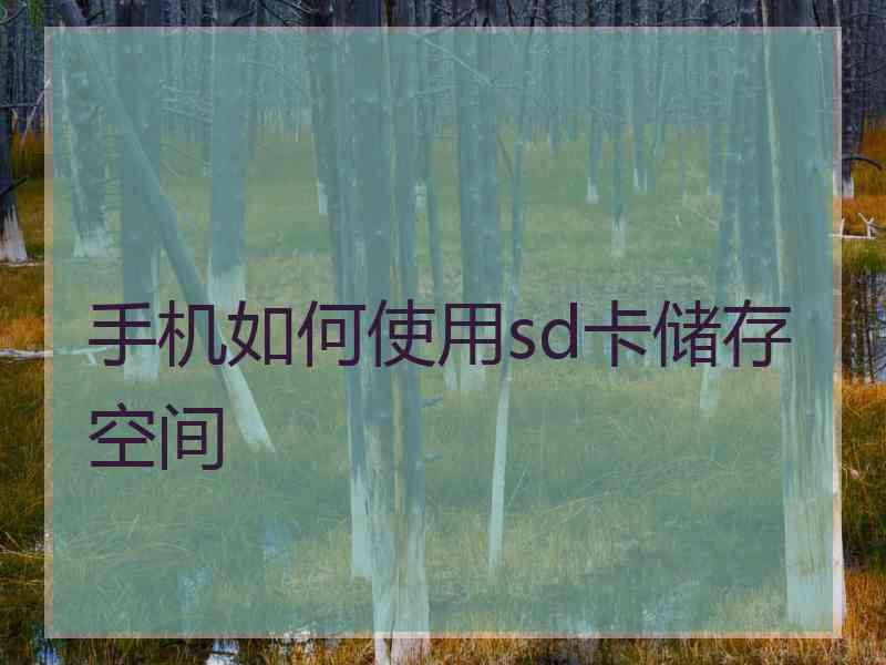 手机如何使用sd卡储存空间