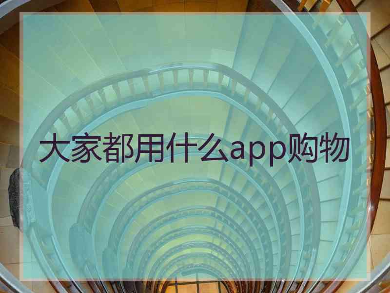 大家都用什么app购物