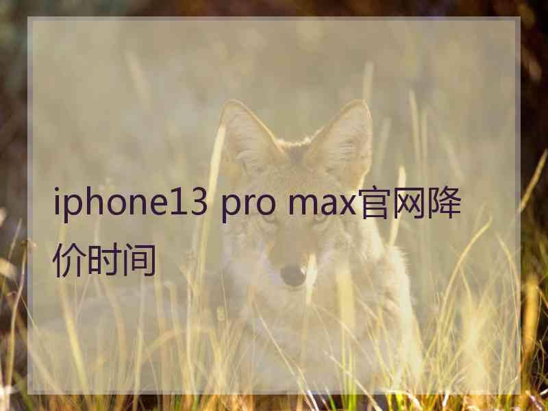 iphone13 pro max官网降价时间