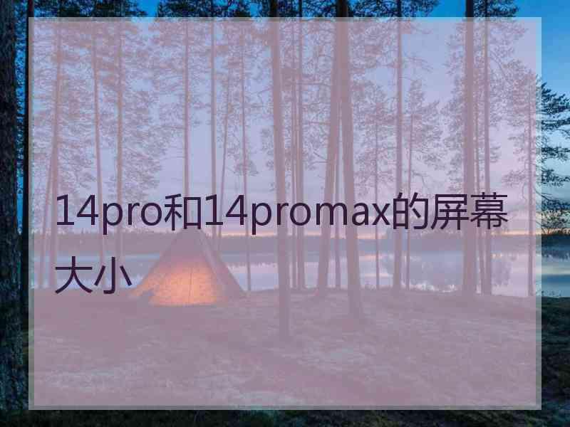 14pro和14promax的屏幕大小