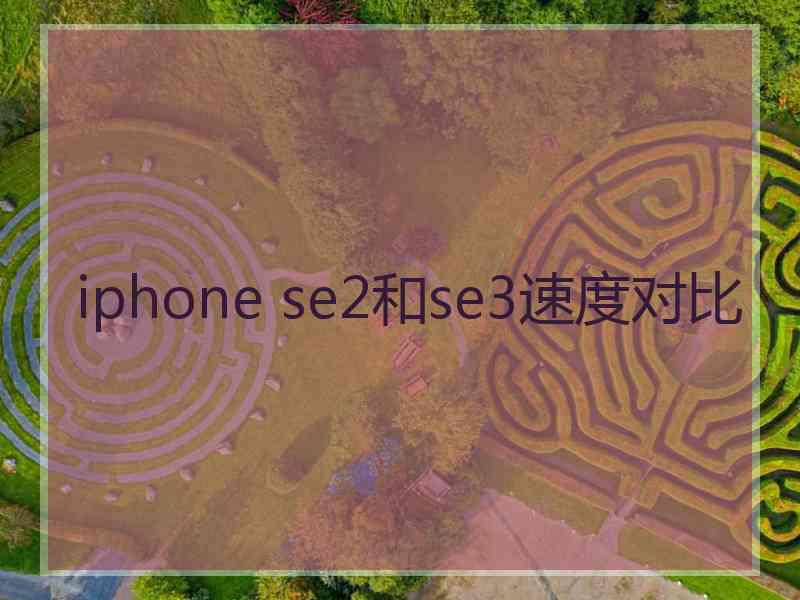 iphone se2和se3速度对比