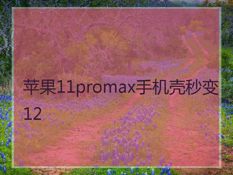 苹果11promax手机壳秒变12