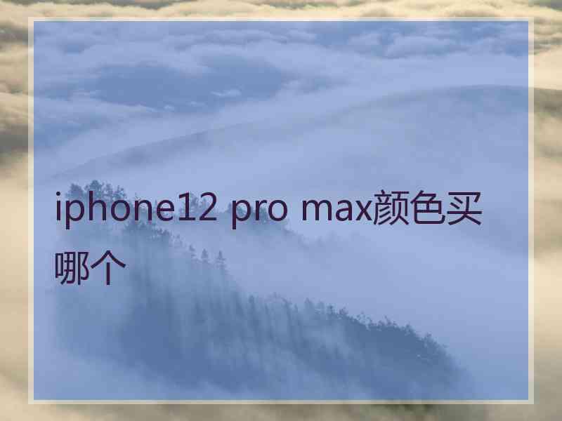 iphone12 pro max颜色买哪个