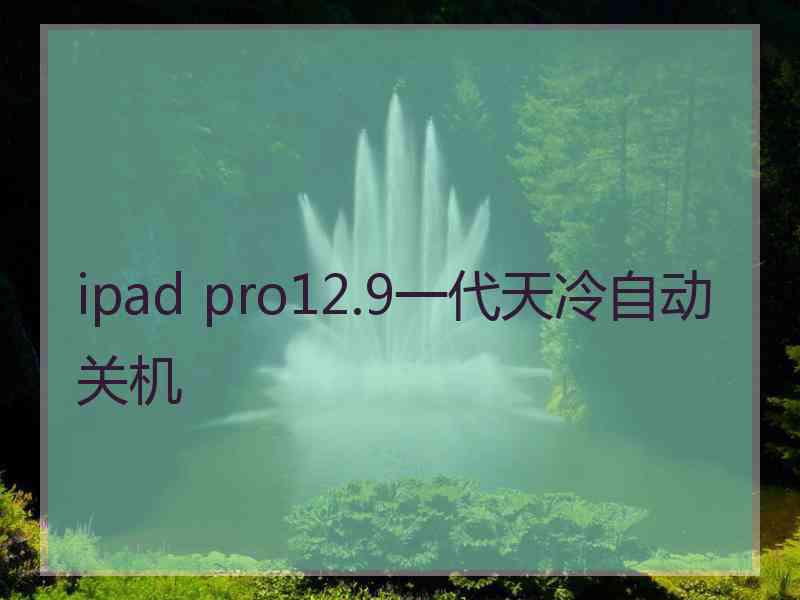 ipad pro12.9一代天冷自动关机