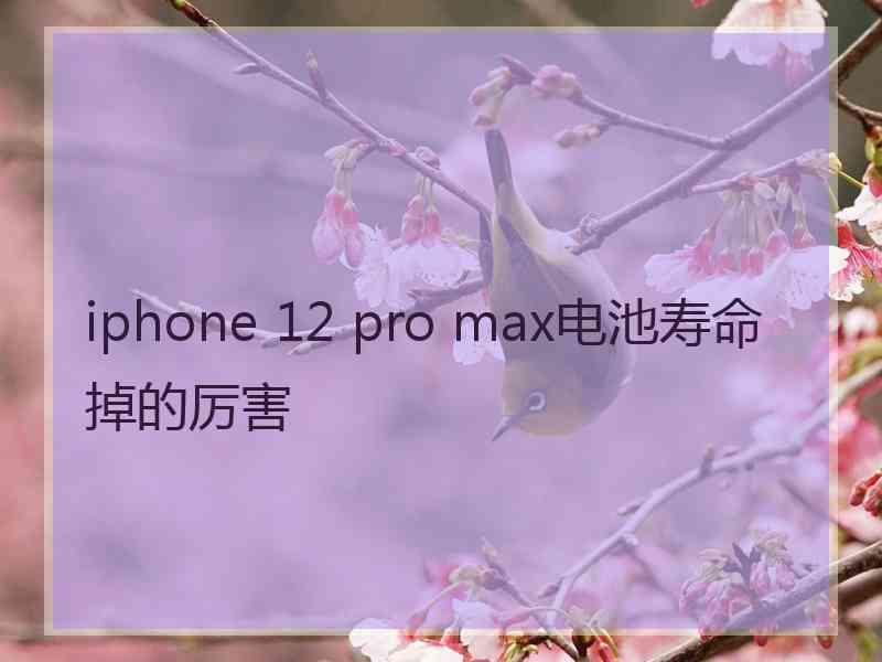 iphone 12 pro max电池寿命掉的厉害