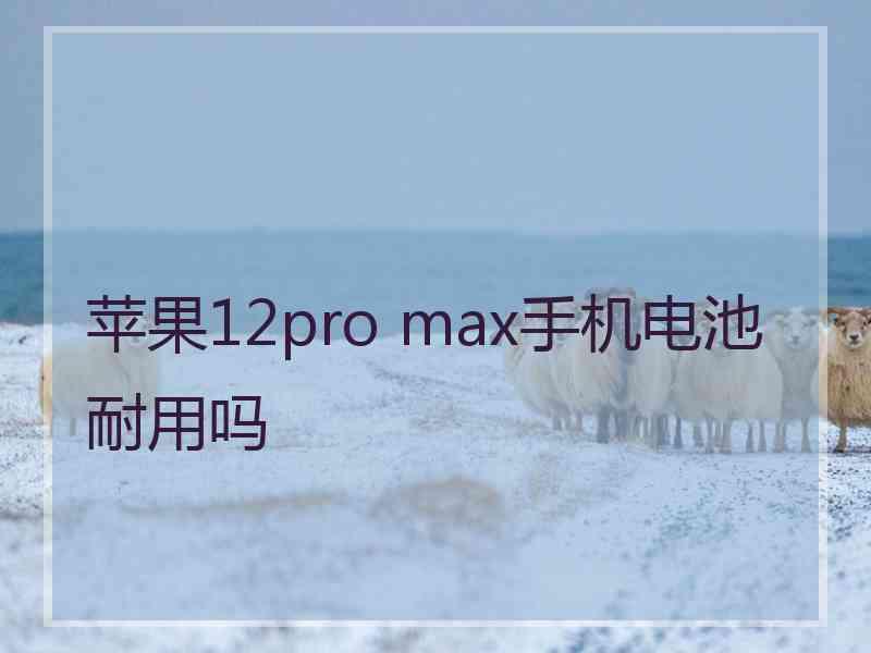 苹果12pro max手机电池耐用吗