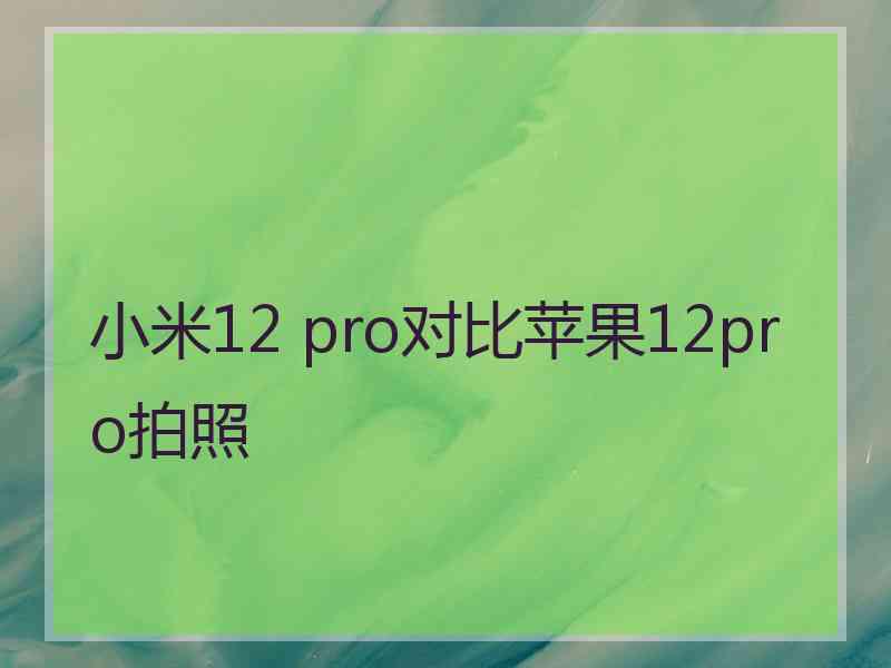 小米12 pro对比苹果12pro拍照