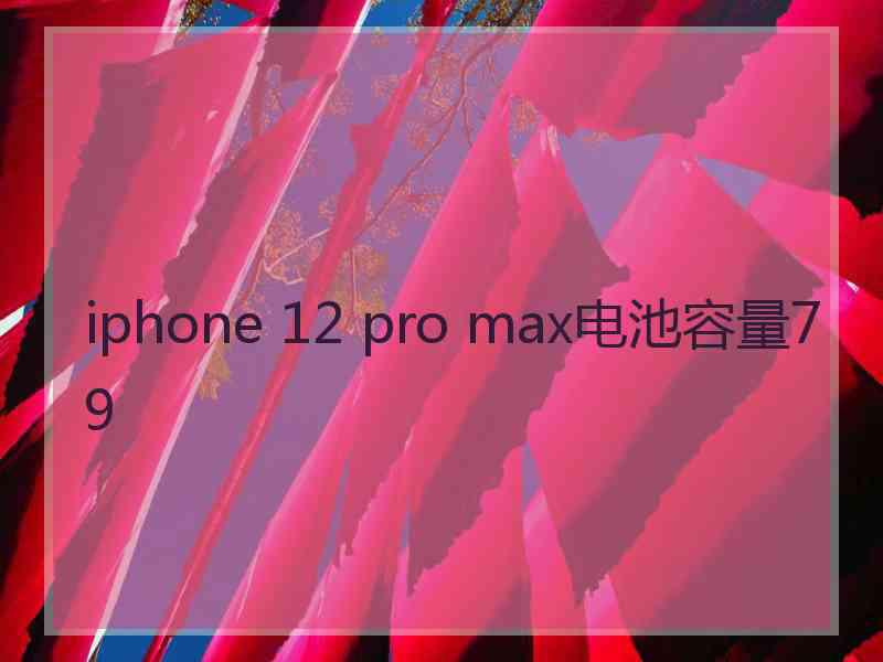 iphone 12 pro max电池容量79