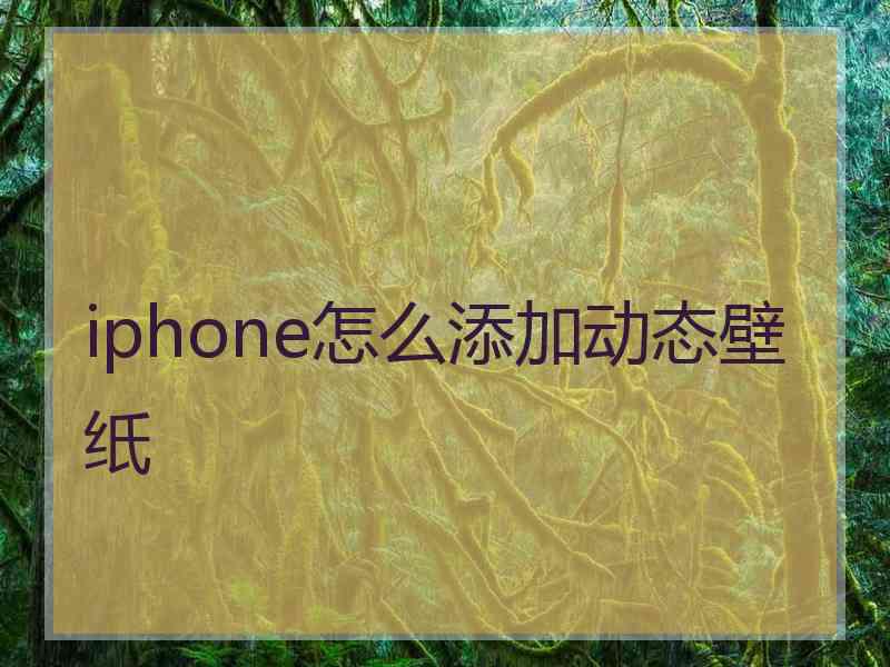 iphone怎么添加动态壁纸