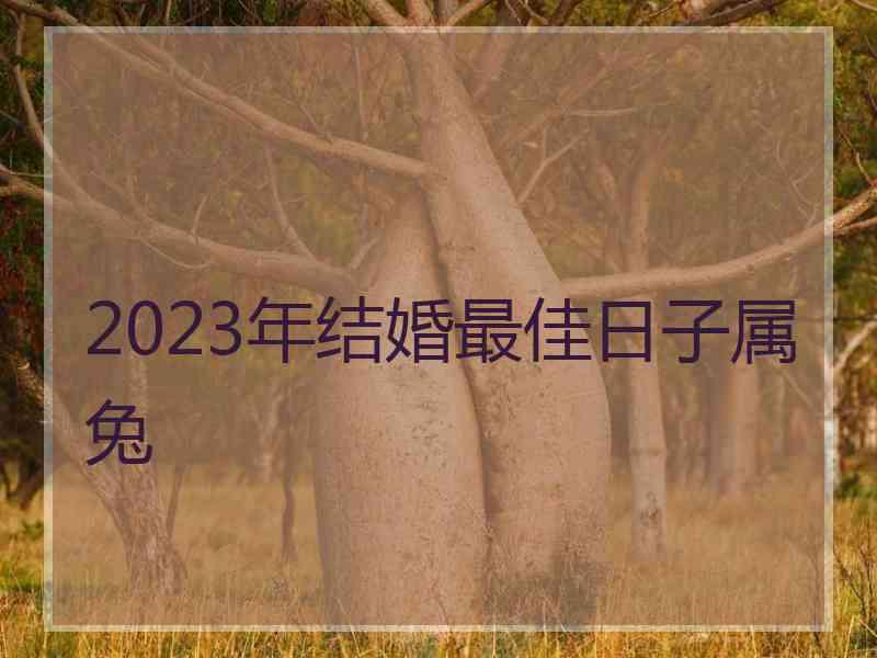 2023年结婚最佳日子属兔