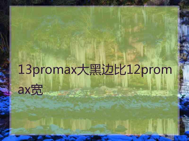 13promax大黑边比12promax宽