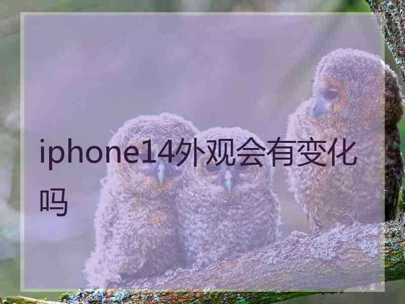 iphone14外观会有变化吗