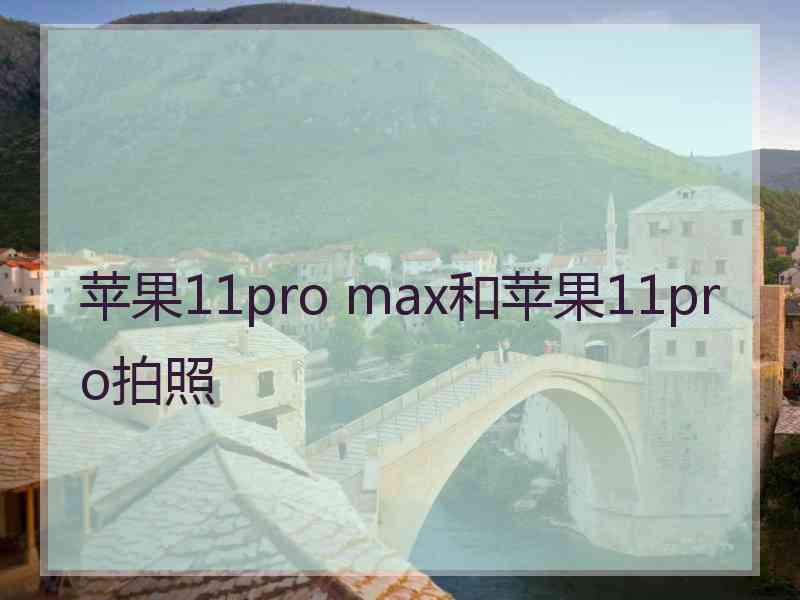 苹果11pro max和苹果11pro拍照