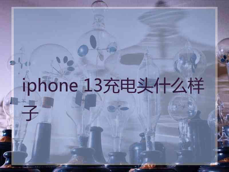 iphone 13充电头什么样子