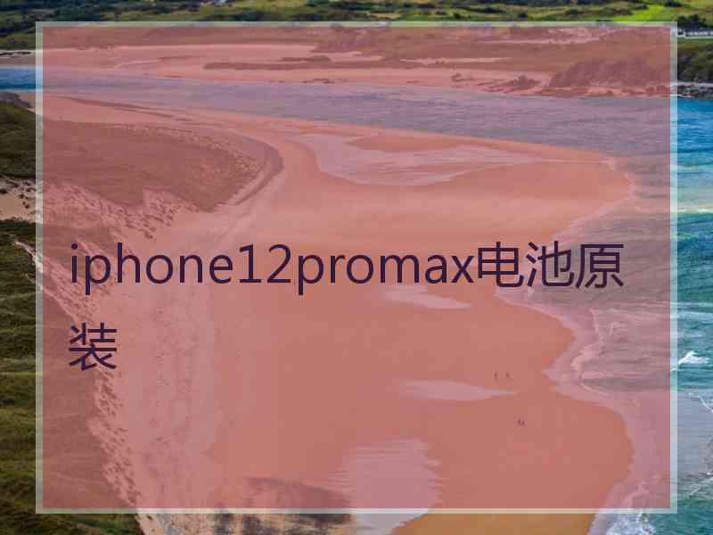 iphone12promax电池原装