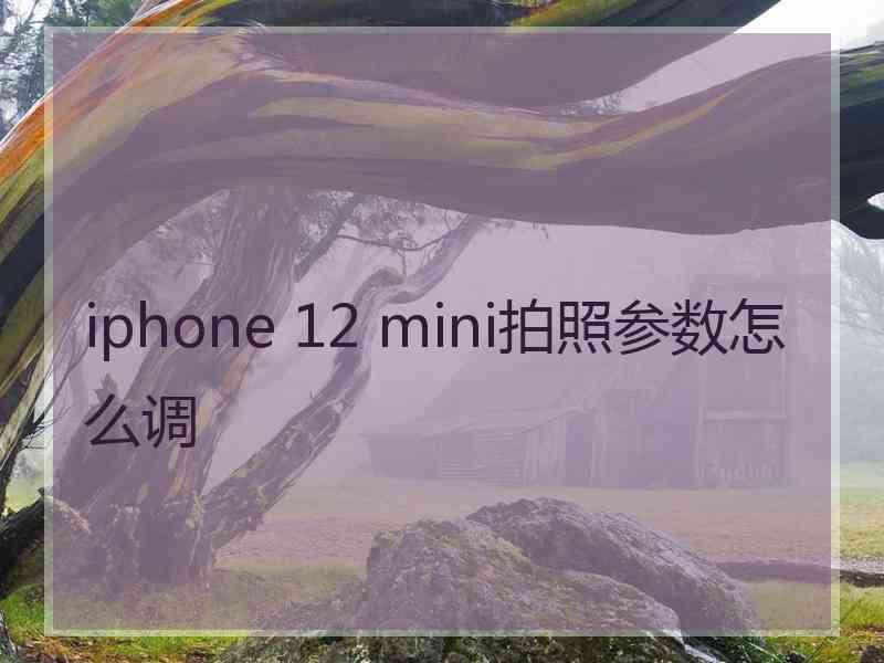 iphone 12 mini拍照参数怎么调